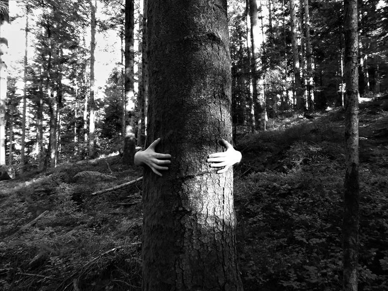 Image du carousel qui illustre: Exposition: Du Bout Des Doigts à Épinal