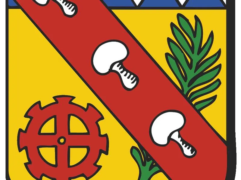 Image du carousel qui illustre: Marché Hebdomadaire à Saulxures-sur-Moselotte